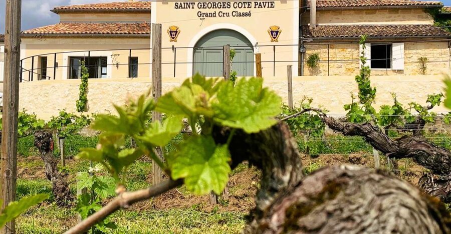 Saint-Émilion: Bordeaux Vineyard Tour and Wine Tasting - Who will get the most from the $21 price