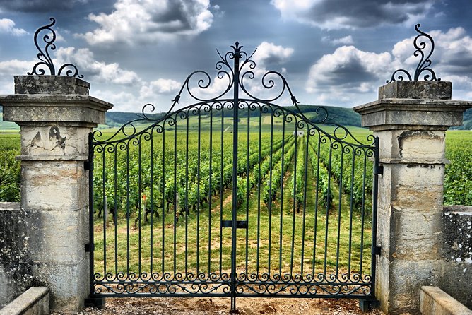 Saint Emilion Day Trip with Sightseeing Tour & Wine Tastings from Bordeaux - Who should book this day?