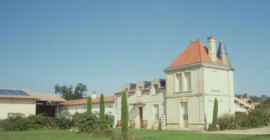 Saint-Émilion: Family Vineyard Visit with Wine Tasting - Why this small Saint-Émilion estate is worth your time