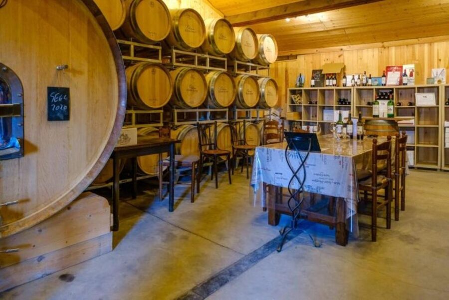 Saint-Émilion: Family Vineyard Visit with Wine Tasting - Who will enjoy this visit most