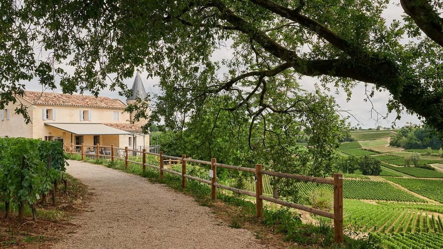 Saint-Emilion: Grand Cru Classé Guided Winery Visit & Picnic - Tour Baladoz and the wine-making basics