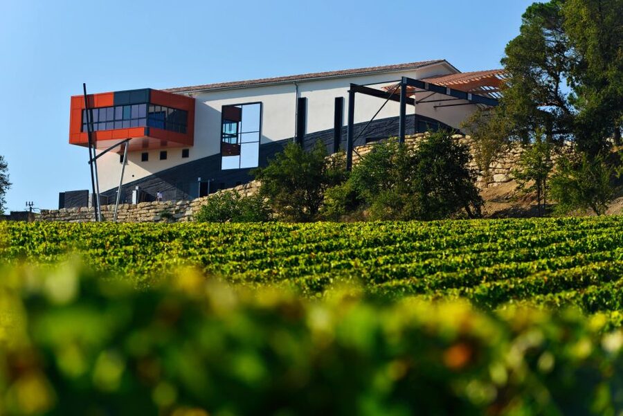 Saint-Émilion: Grand Cru Classé Winery Visit and Tasting - How much can you learn in one hour?