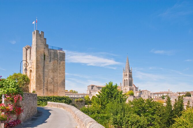 Saint Emilion Half-Day Trip with Wine Tasting & Winery Visit from Bordeaux - What the wine tasting is like