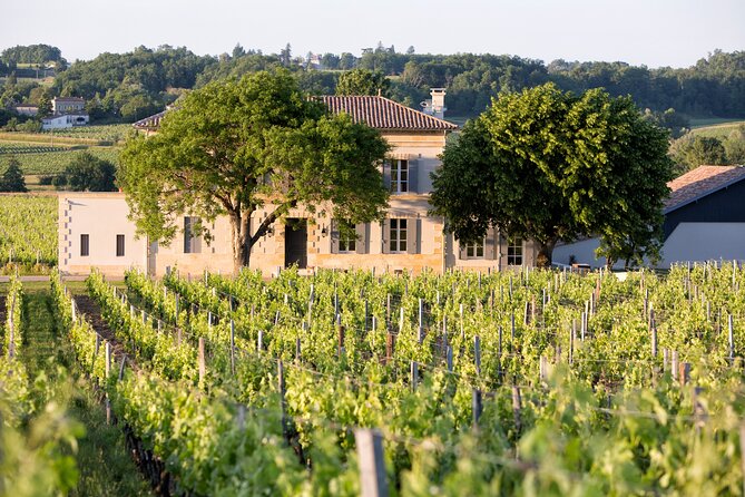Saint Emilion Half-Day Trip with Wine Tasting & Winery Visit from Bordeaux - Practical details that affect your afternoon
