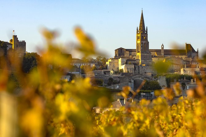 Saint Emilion Half-Day Trip with Wine Tasting & Winery Visit from Bordeaux - Visiting a Saint-Émilion grand cru château
