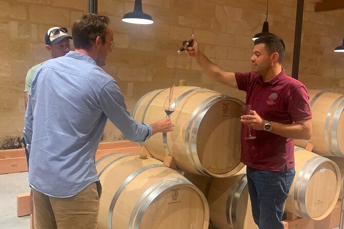 Saint Emilion Morning Wine Tour - Winery & Tastings from Bordeaux - The minivan ride from Bordeaux