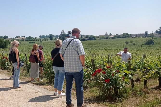 Saint Emilion Morning Wine Tour - Winery & Tastings from Bordeaux - My verdict on this Bordeaux morning outing