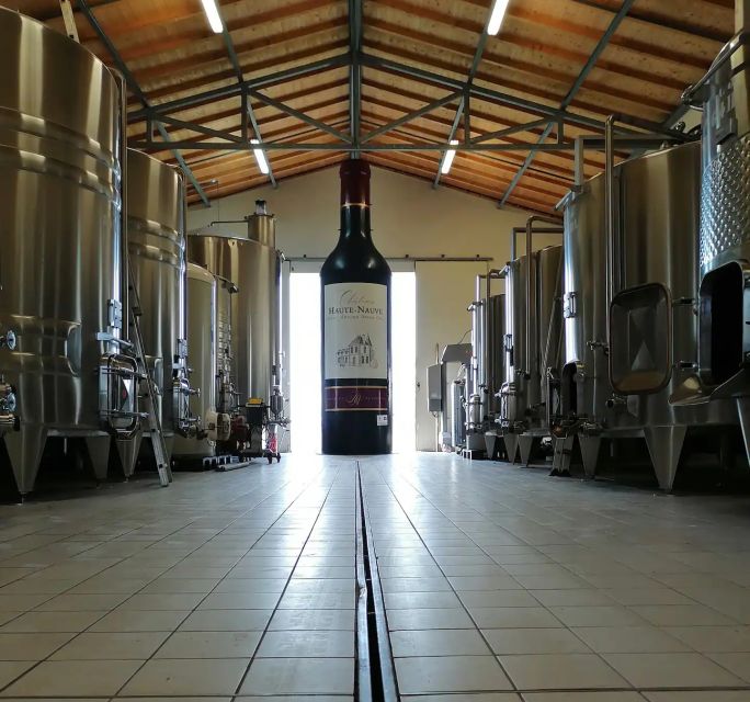 Saint-Émilion: Vineyard Walking Tour and Tasting - Why the family-run Château Haute-Nauve visit feels different