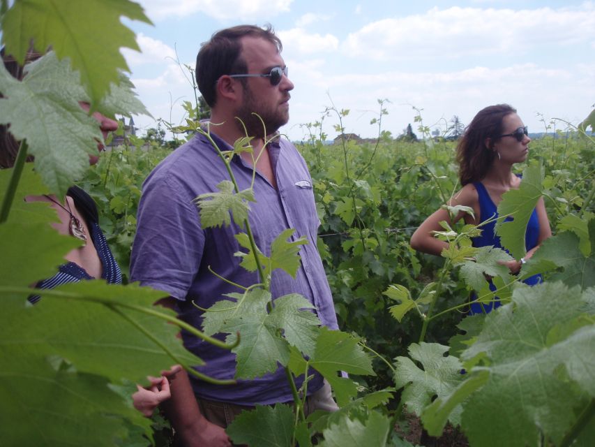 Saint-Émilion: Vineyard Walking Tour and Tasting - Getting to the vines 3 km from Saint-Émilion