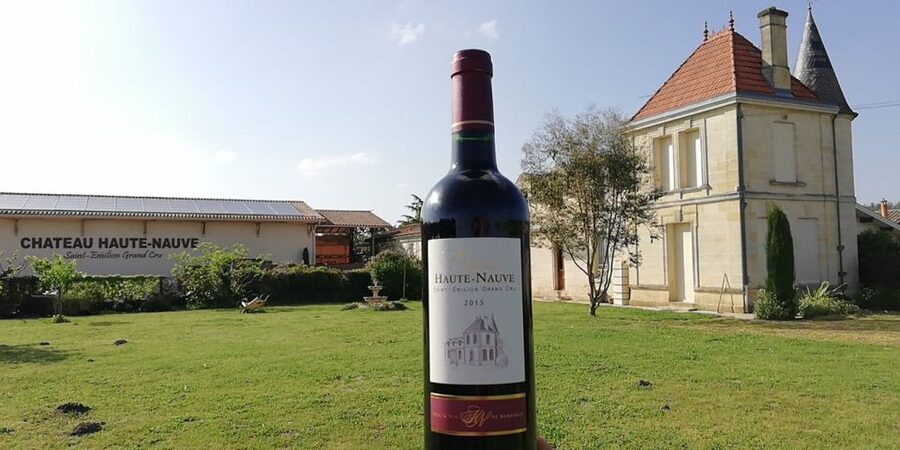 Saint-Émilion: Vineyard Walking Tour and Tasting - From grapes to fermentation tanks and presses