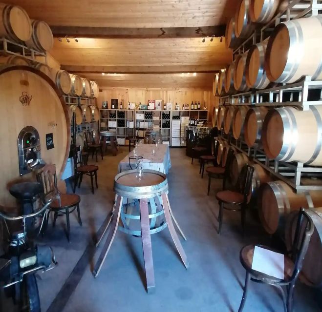 Saint-Émilion: Vineyard Walking Tour and Tasting - Walking through Saint-Émilion’s working vineyard
