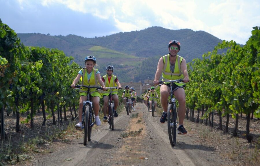 Salou: Easy Bike Tour with Wine Tasting - Tasting two Priorat wines