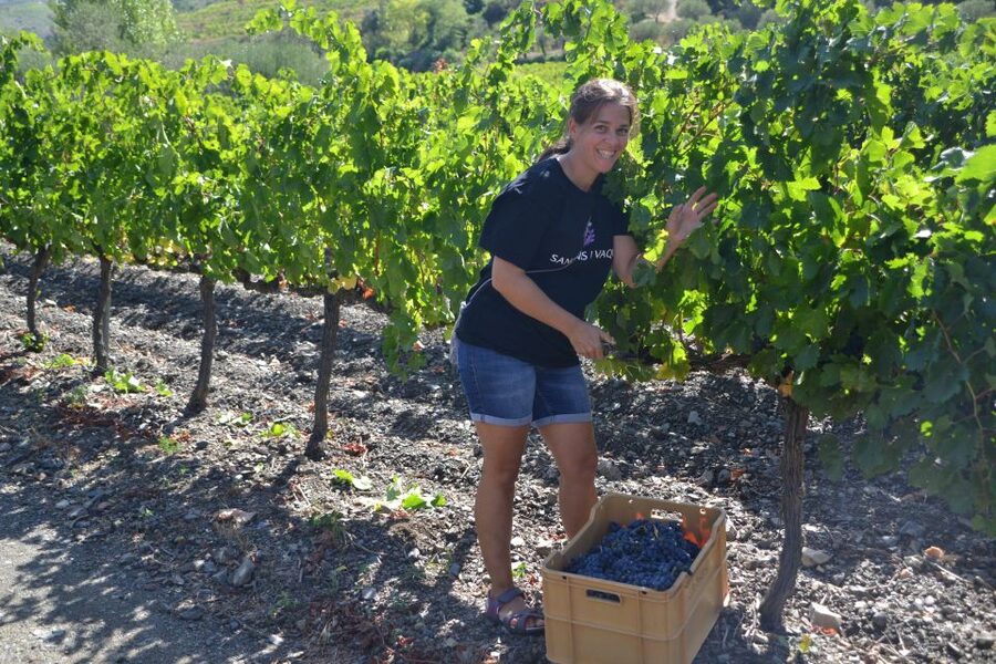 Salou: Easy Bike Tour with Wine Tasting - Guides who keep the ride relaxed