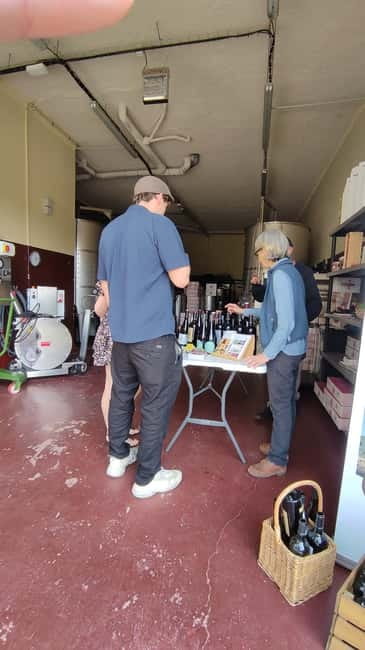 Salou: Priorat tasting Wine-Cellar Tour with hotel pickup - Final verdict: a practical Priorat introduction