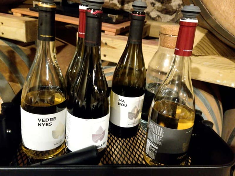 Salou: Priorat tasting Wine-Cellar Tour with hotel pickup - Cornudella and the one-hour tasting
