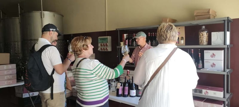 Salou: Priorat tasting Wine-Cellar Tour with hotel pickup - Siurana, church views, and the flexible sightseeing