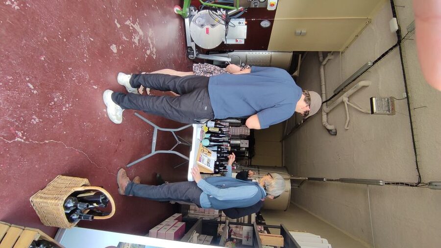 Salou: Priorat tasting Wine-Cellar Tour with hotel pickup - A close look at the $55 price