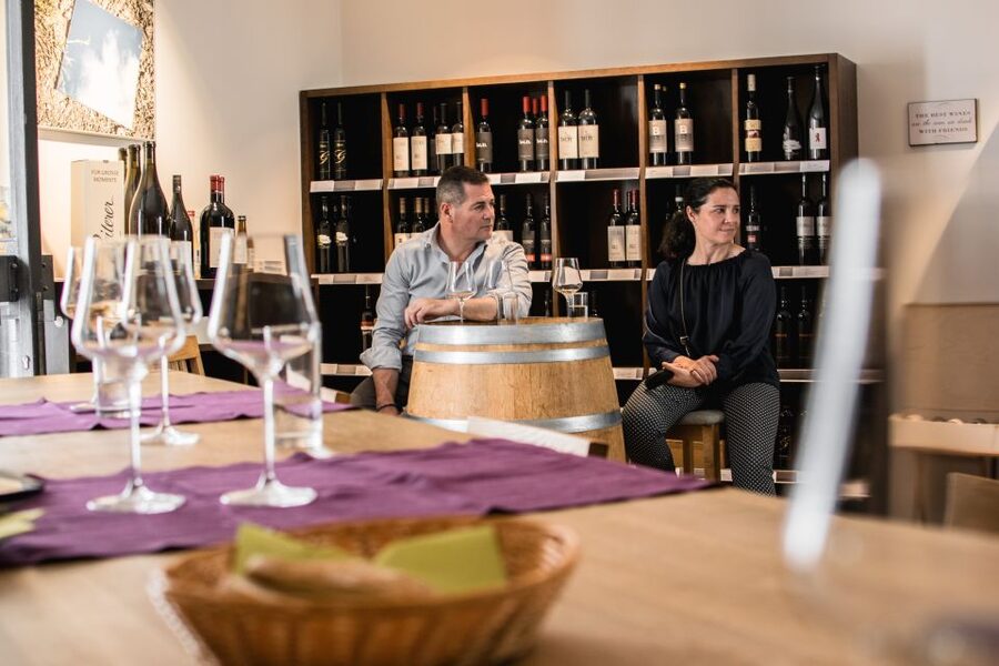 Salzburg: Guided Wine Tasting in a Hidden Wine Bar - Price, group size, and practical value