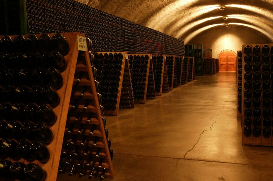 San Francisco: Guided Coastal Redwoods & Wine Country Tour - Final call: a scenic day with one uneven chapter