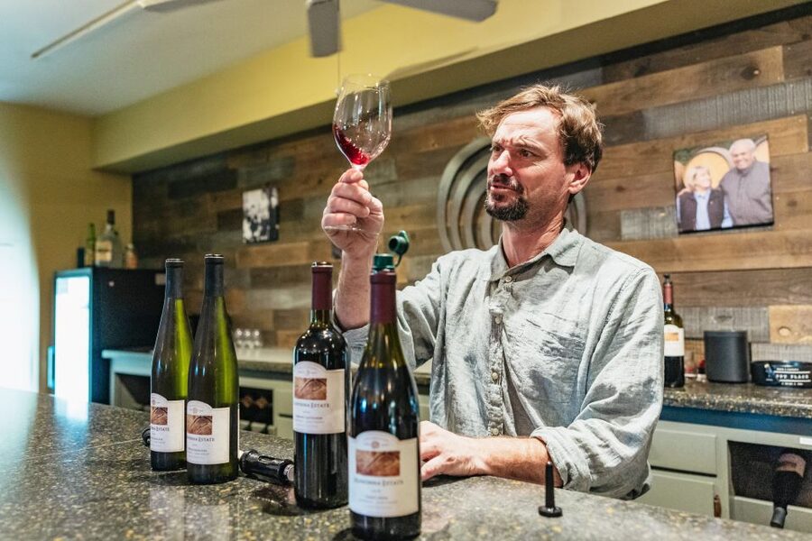 San Francisco: Half-Day Wine Country Excursion with Tastings - Why this half-day trip works so well from San Francisco