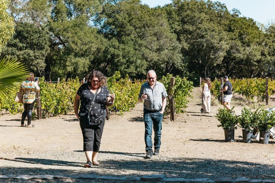 San Francisco: Half-Day Wine Country Excursion with Tastings - What the $109 price really includes