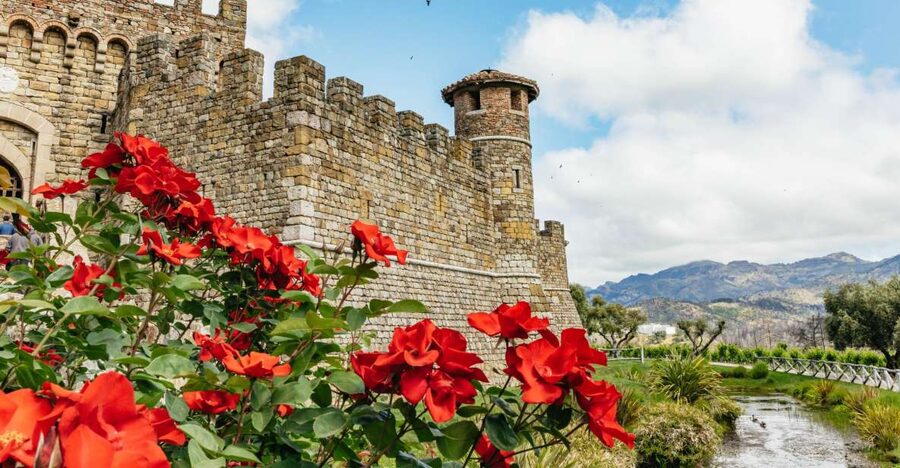 San Francisco: Luxury Small-Group Wine Tour of Napa Valley - Key points to know before booking