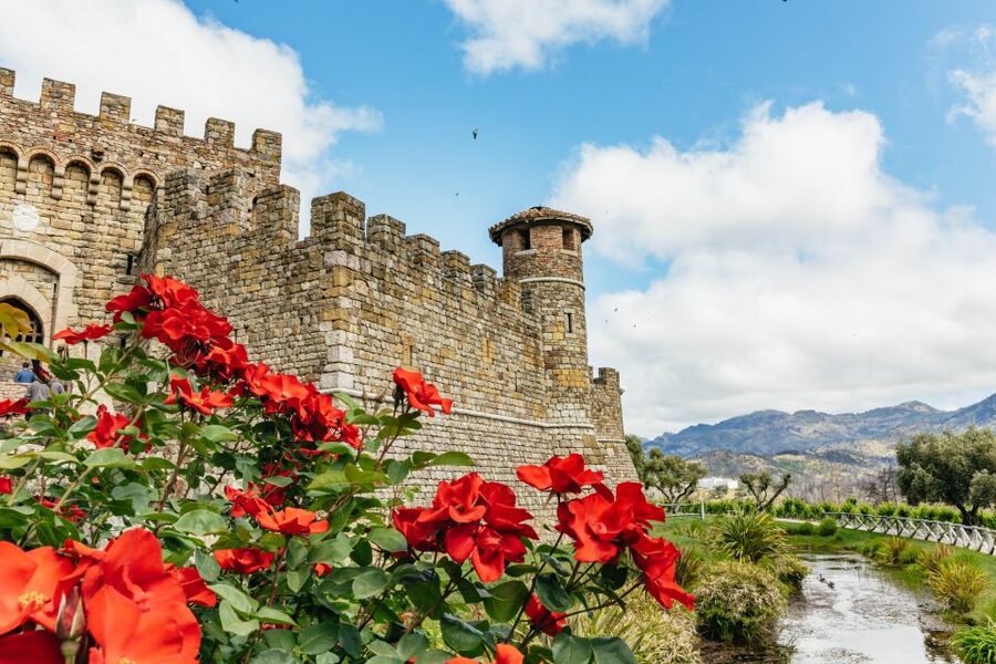 San Francisco: Luxury Small-Group Wine Tour of Napa Valley - Calistoga gives you a useful break