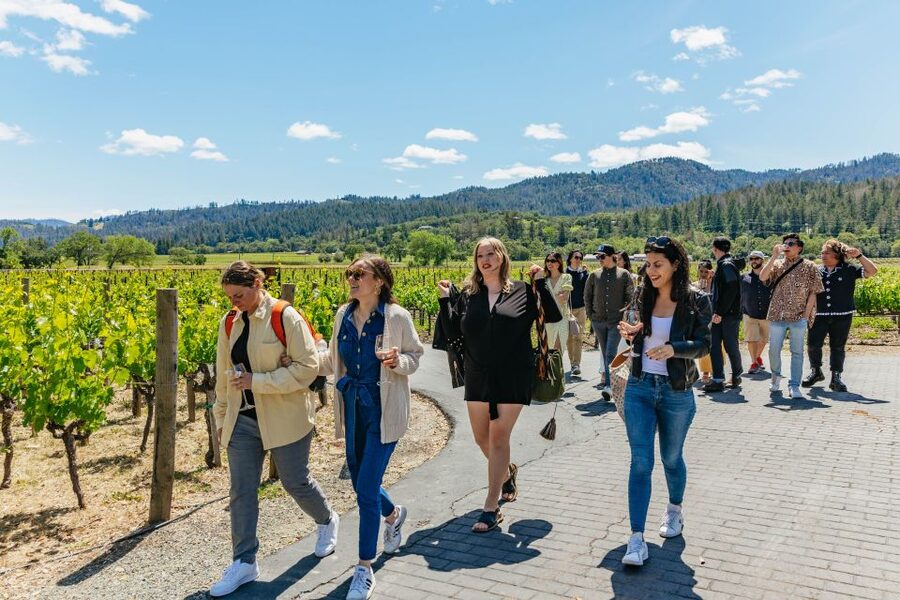 San Francisco: Luxury Small-Group Wine Tour of Napa Valley - Ru Vango brings vineyard views and cooler air
