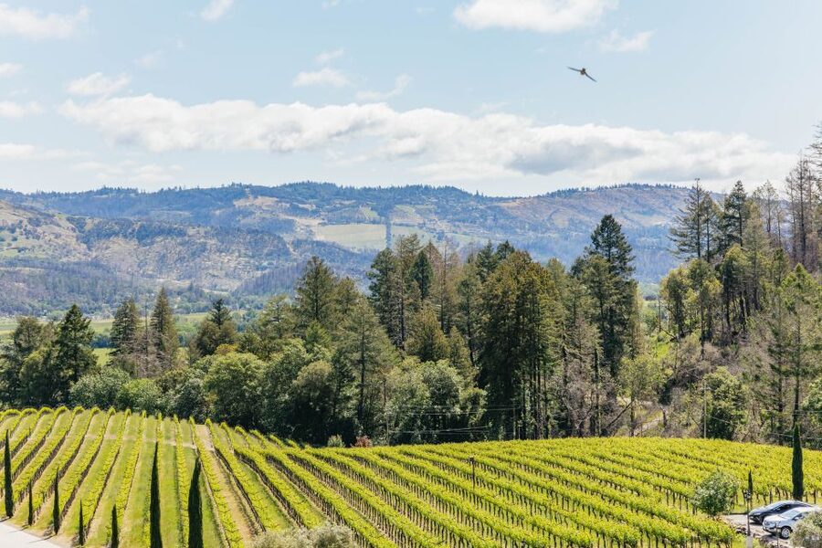 San Francisco: Luxury Small-Group Wine Tour of Napa Valley - The Golden Gate Bridge makes a fitting finish