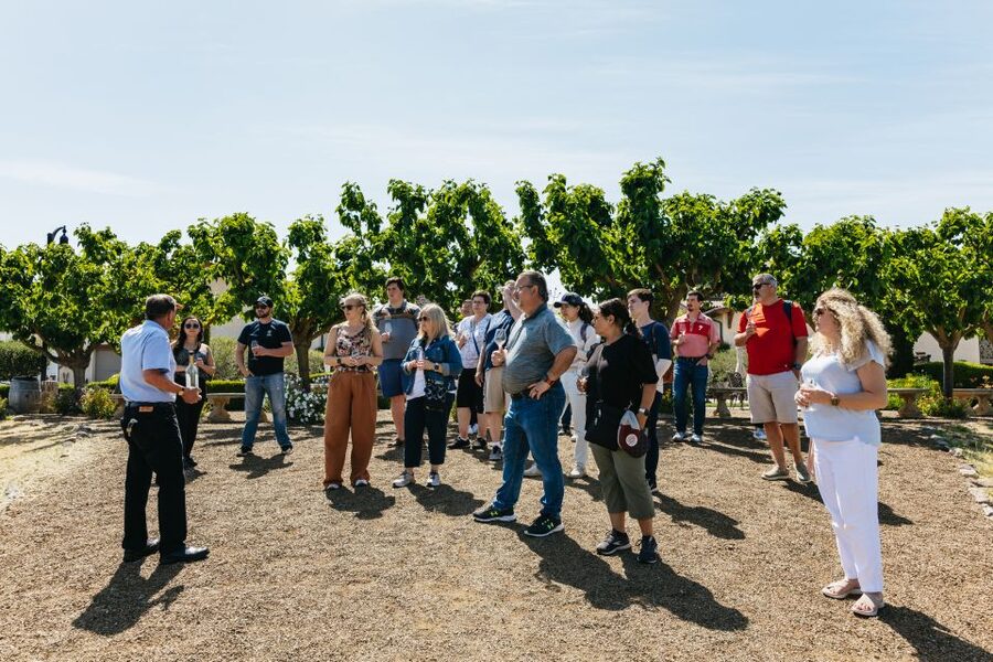 San Francisco: Muir Woods, Napa & Sonoma Valley Wine Tour - Why this tour works so well in one day