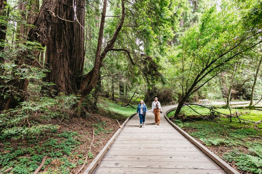 San Francisco: Muir Woods, Napa & Sonoma Valley Wine Tour - Lunch at Sonoma Plaza