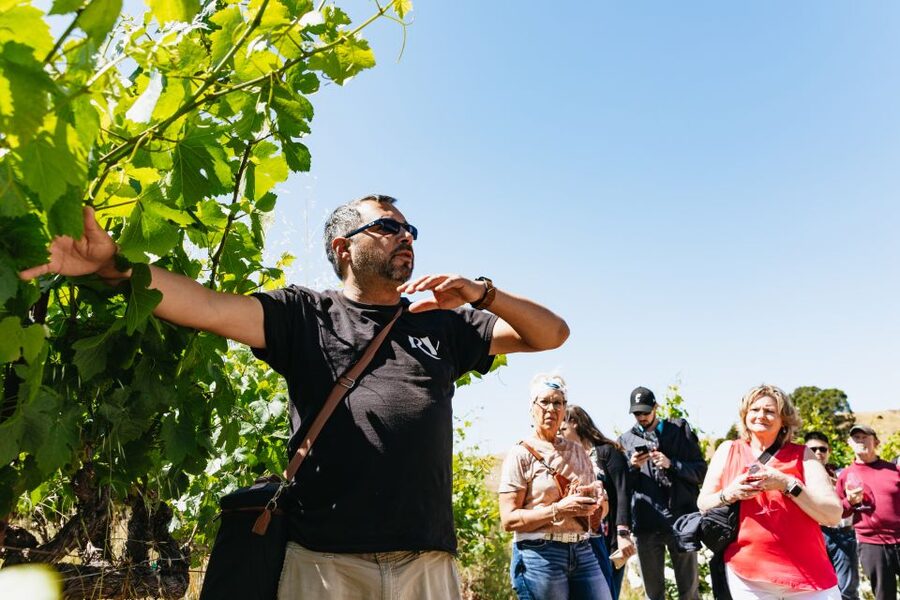 San Francisco: Napa and Sonoma Valley Wine Tour - Sonoma Plaza gives the day some breathing room