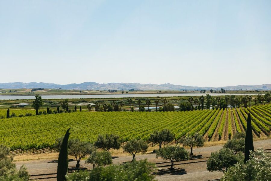 San Francisco: Napa and Sonoma Valley Wine Tour - The third tasting finishes the wine-country day
