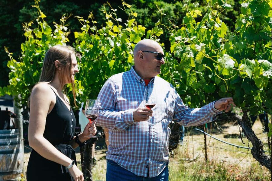 San Francisco: Napa and Sonoma Valley Wine Tour - How much wine knowledge will you gain?