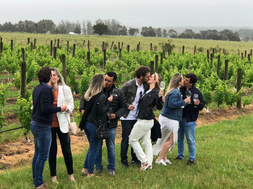 San Francisco: Napa Valley Half-Day Wine Tour with Tastings - From the Big Bus center to the Golden Gate Bridge