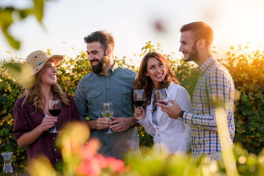 San Francisco: Redwood & Wine Country Tour with Lunch & Wine - Why this 11-hour combination works
