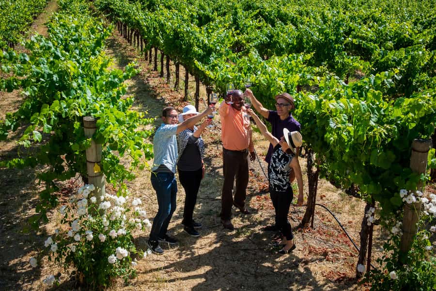 San Francisco: Redwood & Wine Country Tour with Lunch & Wine - Is $259 a fair price?