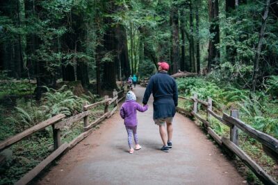 San Francisco Super Saver: Muir Woods & Wine Country w/ optional Gourmet Lunch