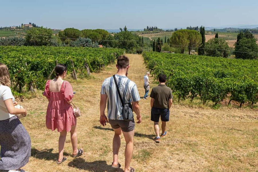 San Gimignano: Premium Wine Tour with Lunch - The bottom line: a strong half-day choice