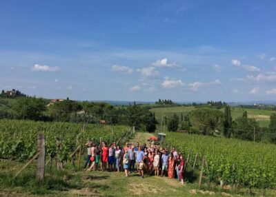 Premium Wine Tour with Lunch