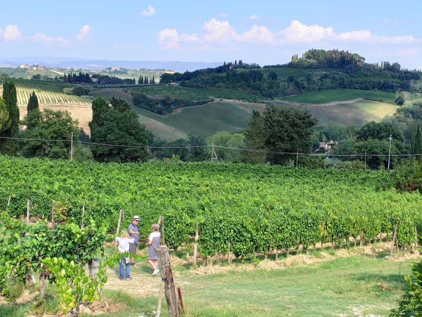 San Gimignano: Premium Wine Tour with Lunch - Five wines, from Vernaccia to Supertuscan