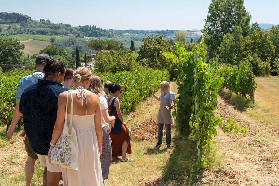 San Gimignano: Premium Wine Tour with Lunch - A relaxed 2.5-hour pace, with a few practical limits