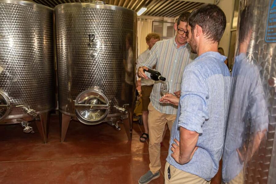 San Gimignano: Premium Wine Tour with Lunch - Who should book this wine tour?