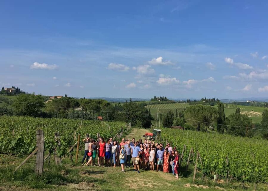 San Gimignano: Premium Wine Tour with Lunch - Walking the vineyard and learning the wine cycle