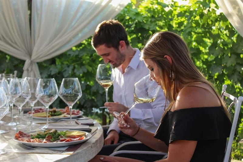 San Gimignano: Tasting of Tuscan Wines and Cheeses - A focused taste of Tuscany at Tenuta Torciano
