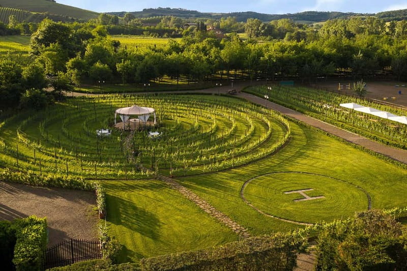 San Gimignano: Tasting of Tuscan Wines and Cheeses - What happens during the one-hour tasting