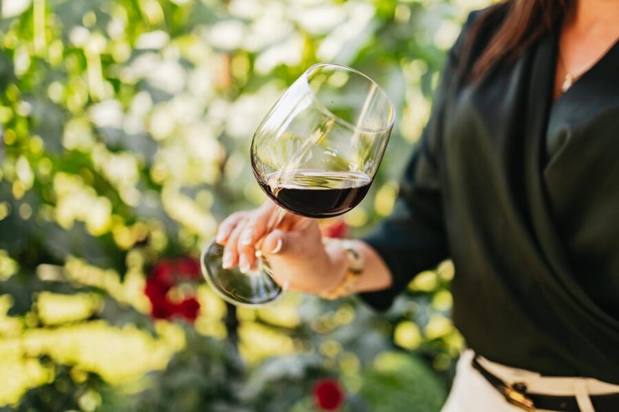 San Gimignano: Tuscan Vineyard Lunch with Wine Tasting - Key points at a glance