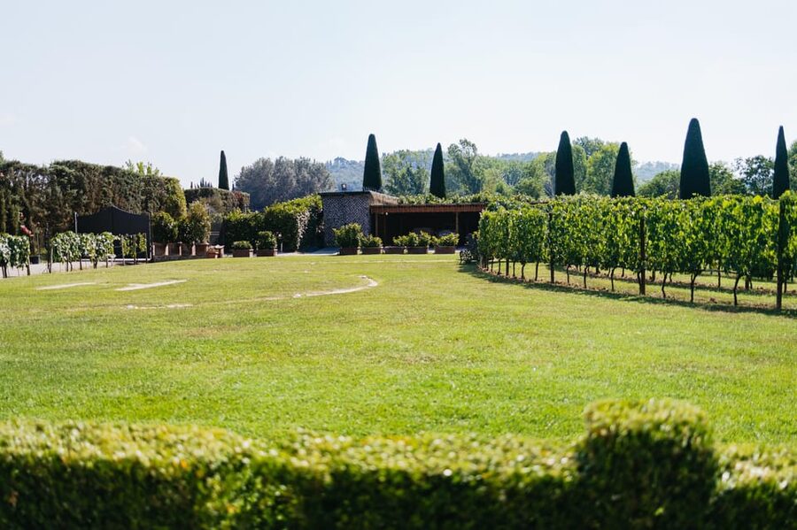 San Gimignano: Tuscan Vineyard Lunch with Wine Tasting - A vineyard lunch near San Gimignano