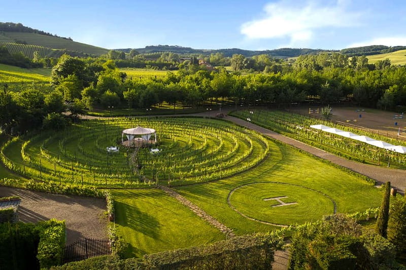 San Gimignano: Wine and Oil Tasting with Tuscan Appetizers - Tasting Tuscan reds and whites