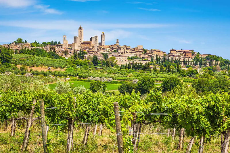 San Gimignano: Wine and Oil Tasting with Tuscan Appetizers - How this fits into a San Gimignano day